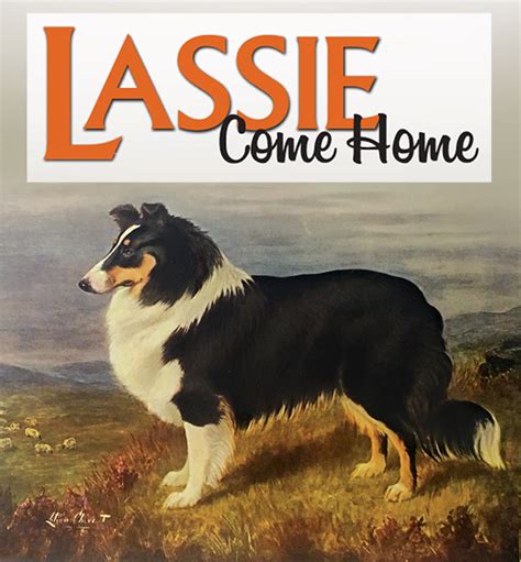 Lassie Come Home Canine Chronicle