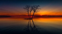 Horizon Lake Nature Reflection Sunset Tree, HD Nature, 4k Wallpapers ...
