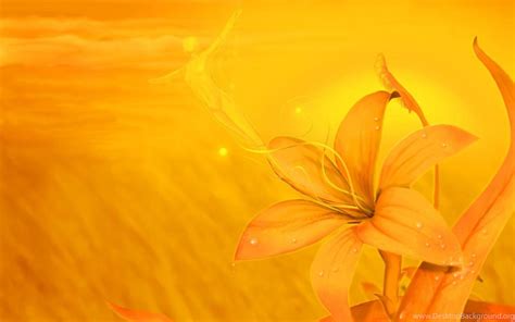 Yellow Flowers Backgrounds Wallpapers Walldevil Best Orange Flower