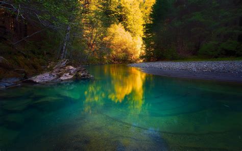 Nature River Forest Water Trees Yellow Green Calm Landscape