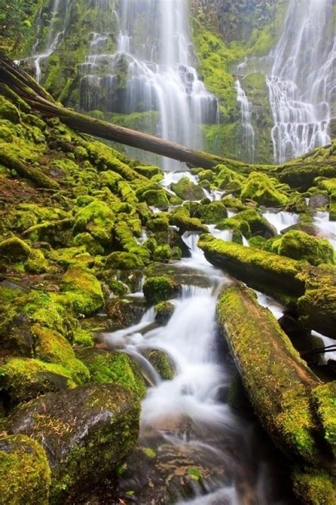 The Amazing Proxy Falls Oregon S Amer Photography Photorator