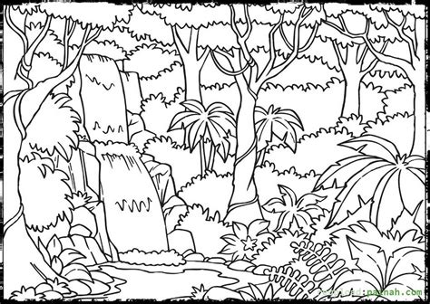 Amazon Rainforest Coloring Pages At Getdrawings Free Download