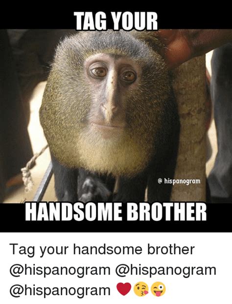 30 Funny Brother Memes To Troll Your Sibling Carlos Ramirez