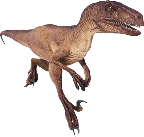 Velociraptor Wiki Jurassicworld Evolution Fandom