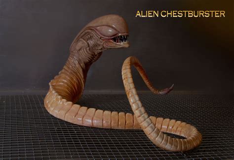 Alien Chestburster Xenomorph Horror Movie Art Ancient Aliens