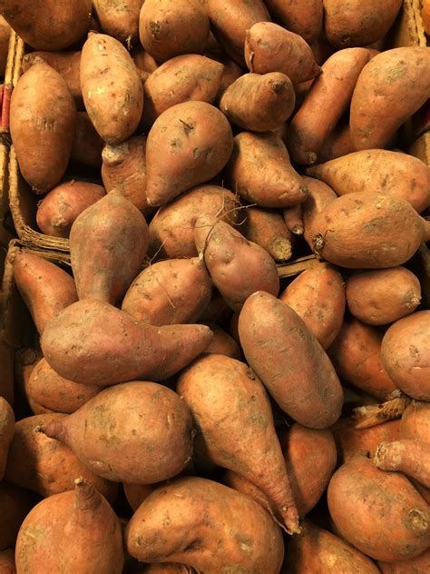 Fall For Sweet Potatoes In November Brg Health • Bonnie R Giller