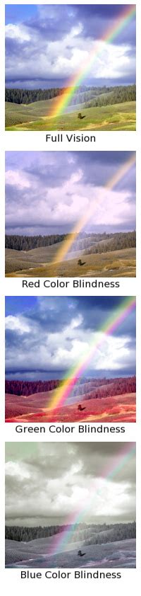 Why Cant Color Blind People See Any Colors Science Questions With
