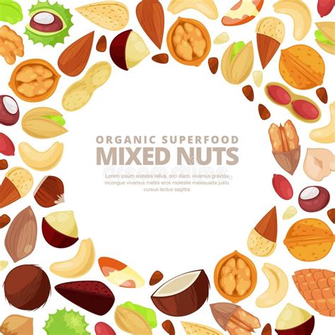 Mixed Nuts Vector Circle Label Isolated On White Background Cartoon