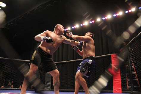 Mma Martial Arts Action Fighting Warrior Boxing Wrestling