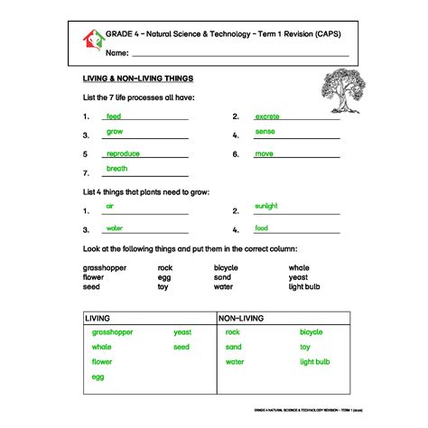 Grade 4 Natural Science And Technology Term 1 Revision Living And Non