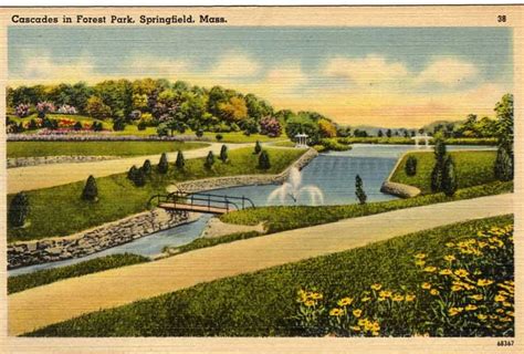 Exploring Western Massachusetts Postcards Forest Park Springfield