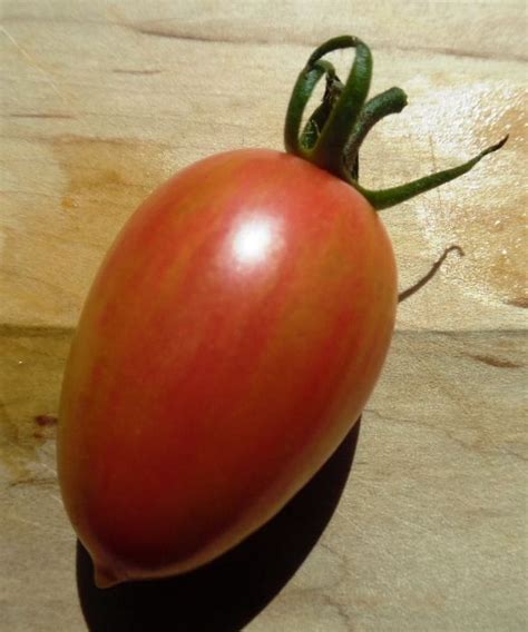Maglia Rosa Tomato Seeds