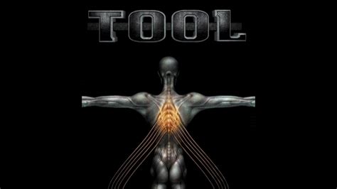 Tool Band Wallpaper 70 Images