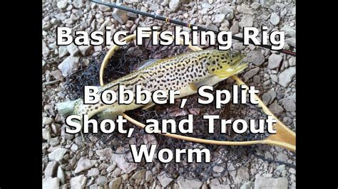 I am going to assume you have a kit that comprises of a rod, reel and line as opposed to a pole that does not use a reel. Basic Fishing Rig - Bobber, Split Shot, and Trout Worm ...