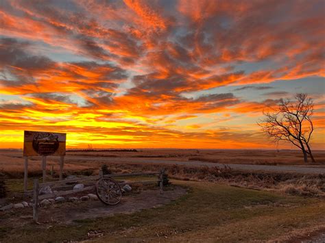 South Dakota Pheasant Hunting Blog Coteau View Hunts