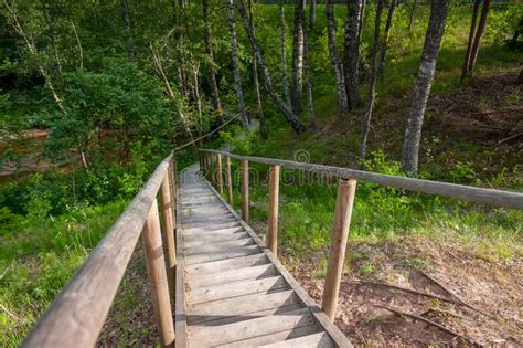 Wooden Path Winding Through Forest Stock Image Image Of Clean