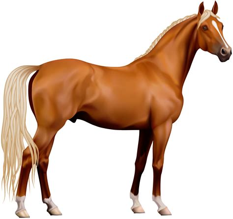 Horse Hd Png Transparent Horse Hdpng Images Pluspng