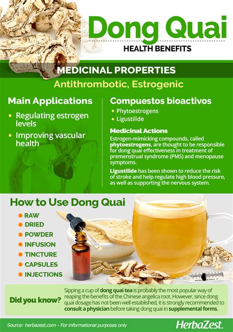 Dong Quai Health Benefits | Herbs for health, Natural health remedies, Health and nutrition