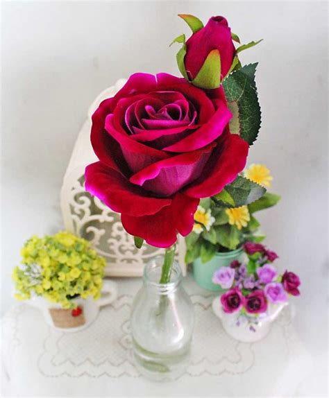 Menakjubkan 11 Gambar Setangkai Bunga Mawar Ungu Gambar Bunga Indah