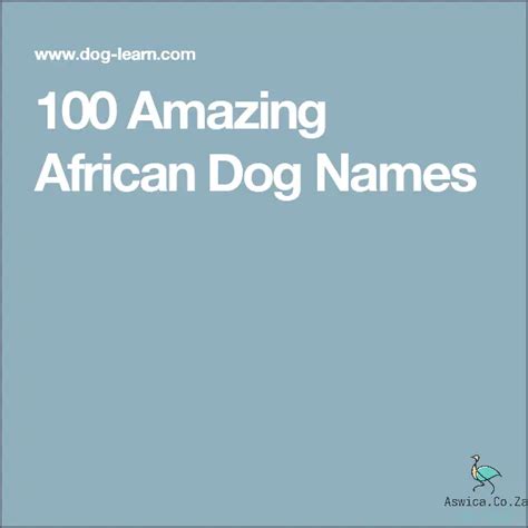 These Unique African Dog Names Are Purrfect March 2024 Aswicacoza