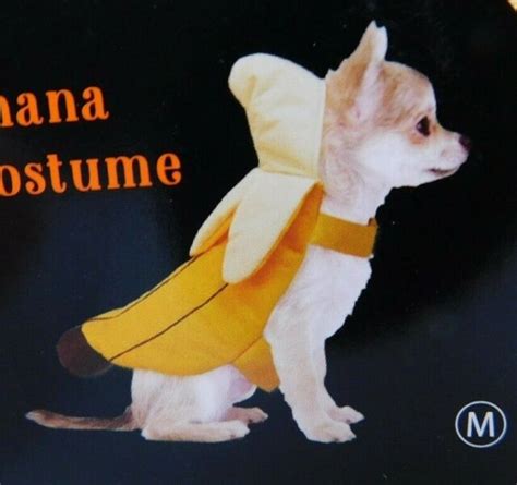 Banana Dog Pet Costume Sz M Peeled Banana Ebay