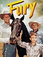 Fury (Serie, 1955 - 1960) - MovieMeter.nl