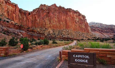 Explore Utah's Early History On The Scenic Capitol Gorge Trail In Utah | Utah vacation, Utah 