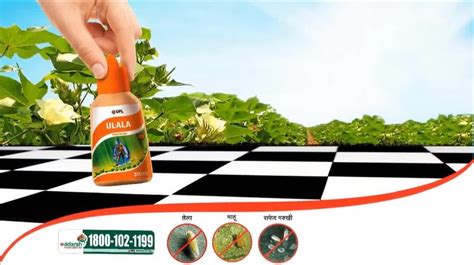 Ulala Plant Insecticide Flonicamid 50 Wg 150g At Rs 585bottle In Durg