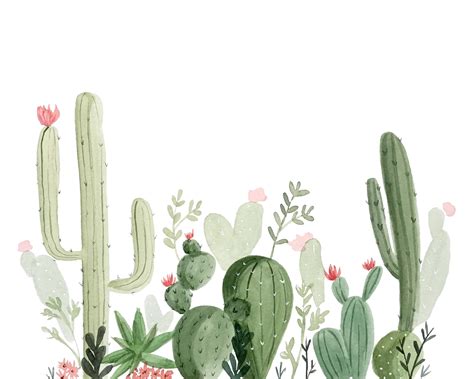 Jardin De Cactus Watercolor Painting Art Print 8x10 Print Etsy