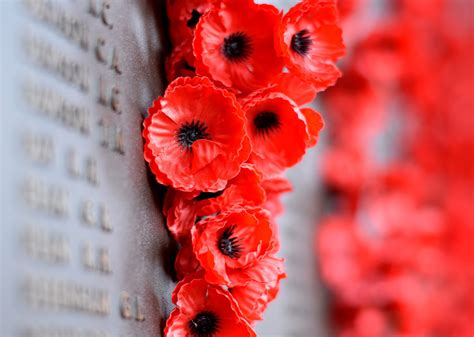 5 Remembrance Day Events Happening This Week In The Capital