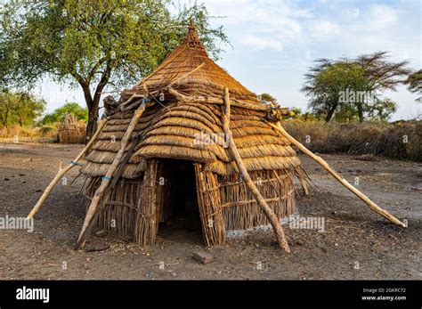Traditional Hut Of The Toposa Tribe Eastern Equatoria South Sudan