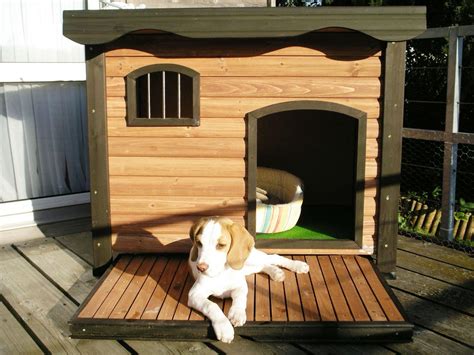 7 Dog House Ideas Woodz