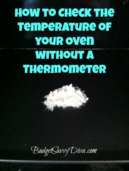Learn how to use a digital ear thermometer in 12 easy steps. How to Check the Temperature of your Oven without a ...