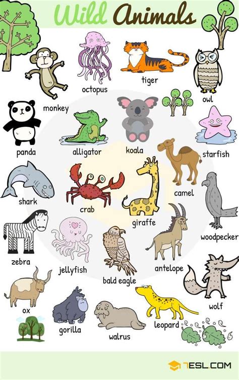 Learn Animal Names in English - ESLBuzz Learning English | Animals name