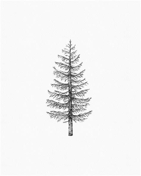 Finally Had Some Time To Draw Again So I Drew A Pine Tree 🌲 Soon