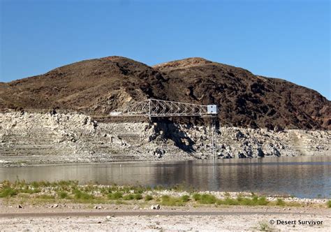 Desert Survivor Lake Mead National Recreation Area Spring Break 2015