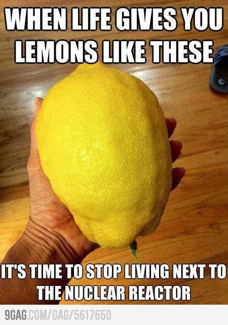 When Life Gives You Lemons Funny Captions Life Humor Funny Quotes