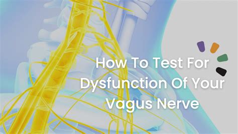 Stress Anxiety Fatigue Bloating Vagus Nerve Test And Vagal Tone Exercises