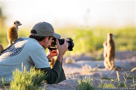 20+ Reasons Why Being A Nature Photographer Is The Best Job In The ...