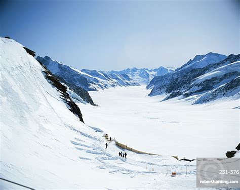 The Aletsch Glacier From Jungfraujoch Stock Photo