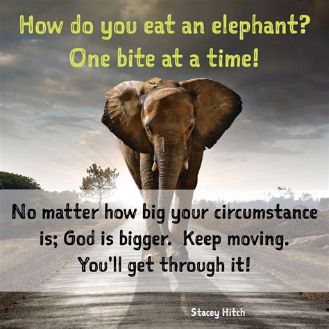 You Cant Eat An Elephant In One Bite Quote Peepsburghcom