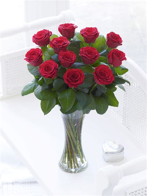 Roses are a popular crop for both domestic and commercial cut flowers. rose red, beautiful roses, rose pictures, red roses photos ...
