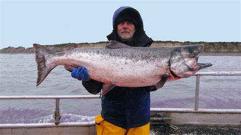 Check spelling or type a new query. Sustainable Seafood | Wild Alaska Salmon & Seafood
