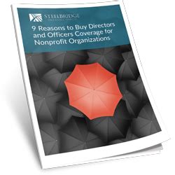 Maybe you would like to learn more about one of these? 9 REASONS TO BUY DIRECTORS AND OFFICERS COVERAGE FOR NONPROFIT ORGANIZATIONS - Steelbridge Insurance