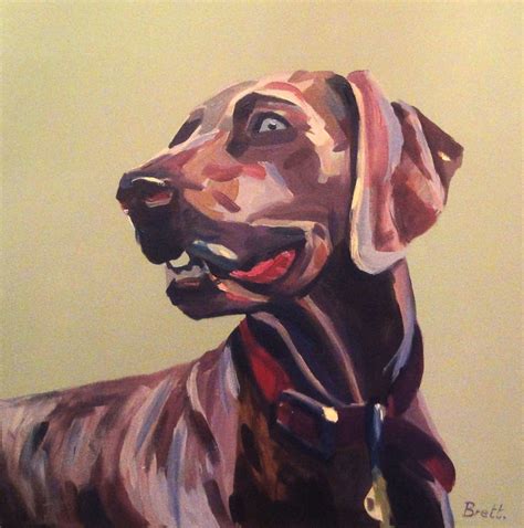Weimaraner Dog Commission 50 X 50 Acrylic On Canvas Background Colour