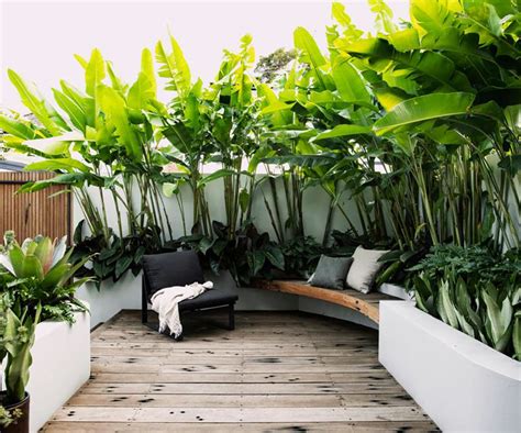 A Small Tropical Garden With Low Maintenance Plants Tropical Garden