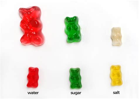 Gummy Bear Science Project DIY For Beginners KiwiCo