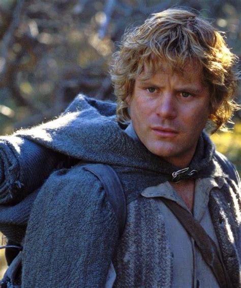 Samwise Gamgee The Hobbit Lord Of The Rings Samwise Gamgee