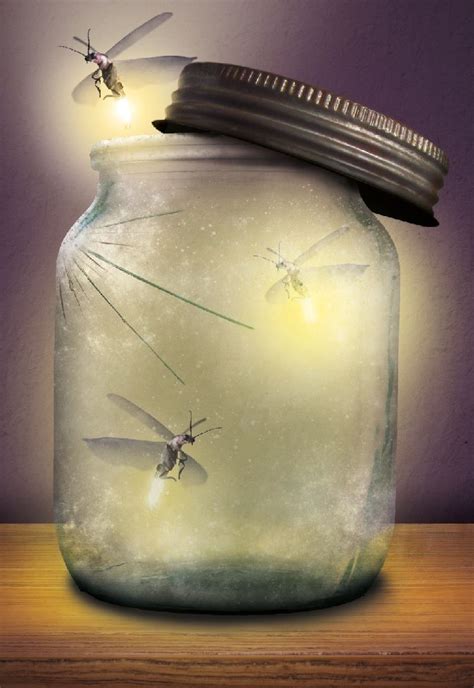 Catch Fireflies Take A Mason Jar With A Mesh Top And Take A Walk In