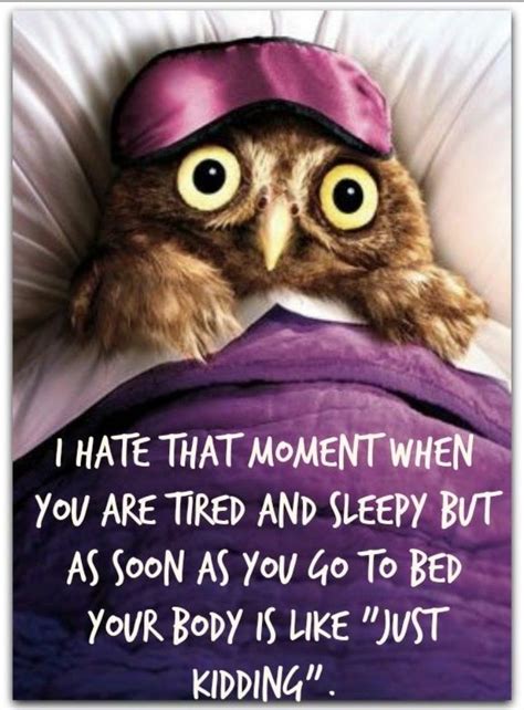 Pin By Josie Maley On Quotes Sleep Funny Sleep Quotes Funny Tired